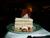 SWDesserts3